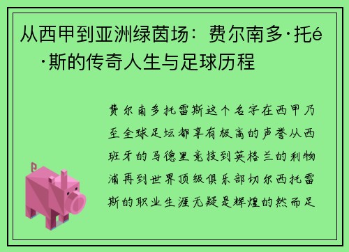 从西甲到亚洲绿茵场：费尔南多·托雷斯的传奇人生与足球历程