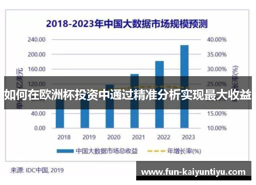 如何在欧洲杯投资中通过精准分析实现最大收益