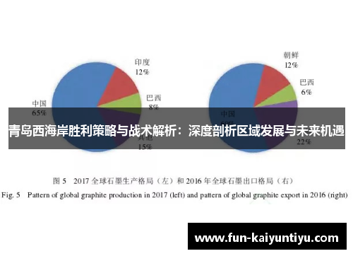 青岛西海岸胜利策略与战术解析：深度剖析区域发展与未来机遇