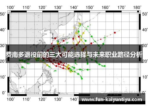 费南多退役前的三大可能选择与未来职业路径分析