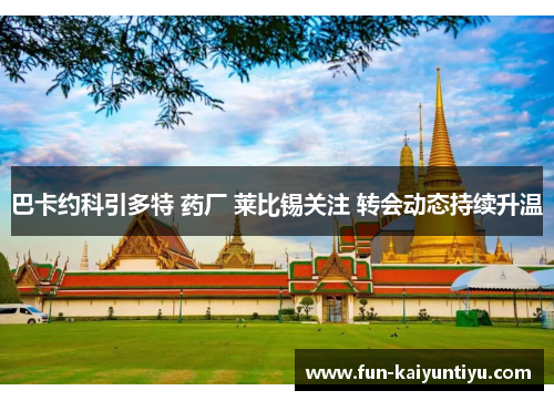 巴卡约科引多特 药厂 莱比锡关注 转会动态持续升温